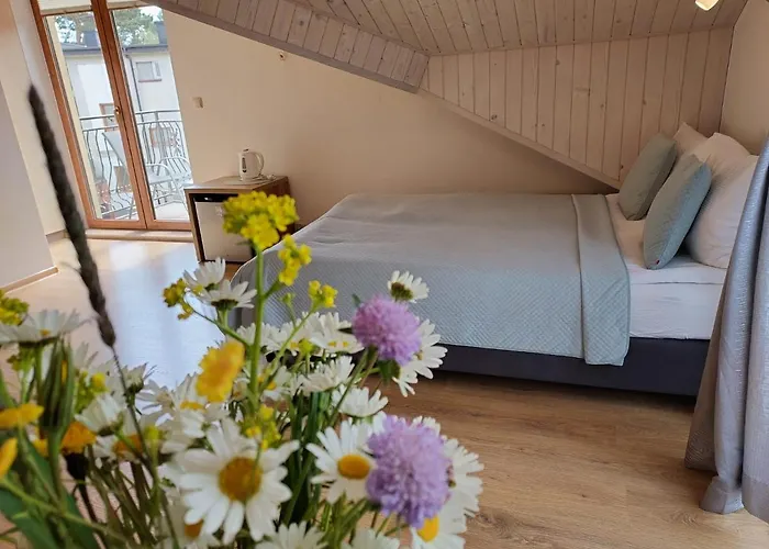 Jack 4 * Władysławowo